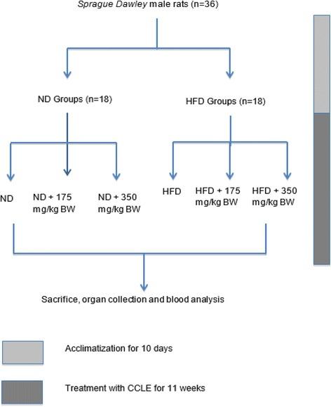 https://cdn.ncbi.nlm.nih.gov/pmc/blobs/3908/5322639/af0626510ca9/12906_2017_1640_Fig1_HTML.jpg