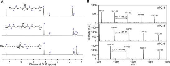https://cdn.ncbi.nlm.nih.gov/pmc/blobs/3909/12363436/e6302a805df6/CHEM-31-e202501819-g002.jpg