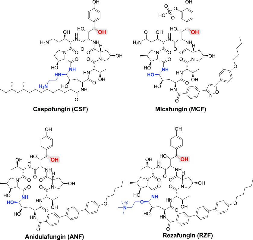 https://cdn.ncbi.nlm.nih.gov/pmc/blobs/3909/8991007/396eb32462d4/ja2c00269_0002.jpg