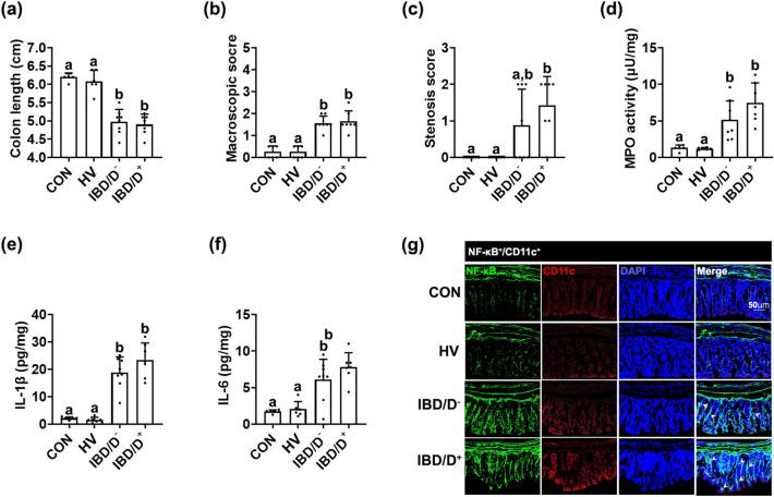 https://cdn.ncbi.nlm.nih.gov/pmc/blobs/390b/8516877/ec19d3aa36a3/41598_2021_88_Fig1_HTML.jpg