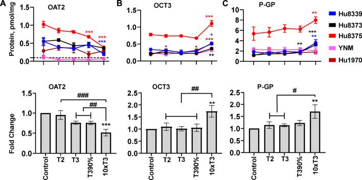https://cdn.ncbi.nlm.nih.gov/pmc/blobs/390c/9532936/c060088e781f/fphar-13-1004010-g006.jpg