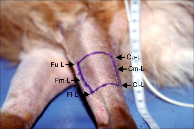https://cdn.ncbi.nlm.nih.gov/pmc/blobs/390d/4367155/5ef8143a9ed3/jvs-16-99-g001.jpg
