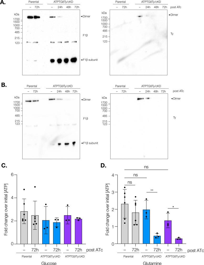 https://cdn.ncbi.nlm.nih.gov/pmc/blobs/390e/10653836/cdfc9d158e48/mbio.01769-23.f002.jpg
