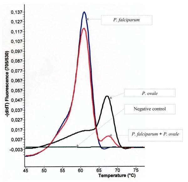 https://cdn.ncbi.nlm.nih.gov/pmc/blobs/390e/2386128/ed990903ebb9/1475-2875-7-70-2.jpg