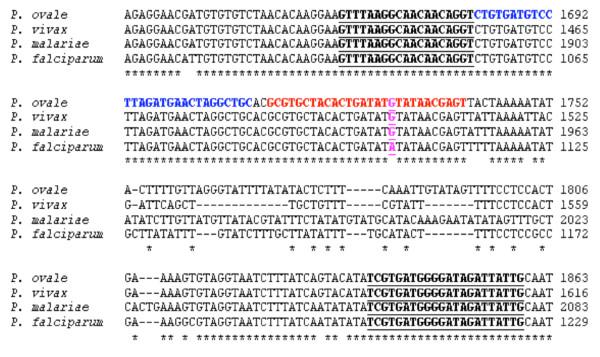 https://cdn.ncbi.nlm.nih.gov/pmc/blobs/390e/2386128/eeed0dddaf52/1475-2875-7-70-1.jpg