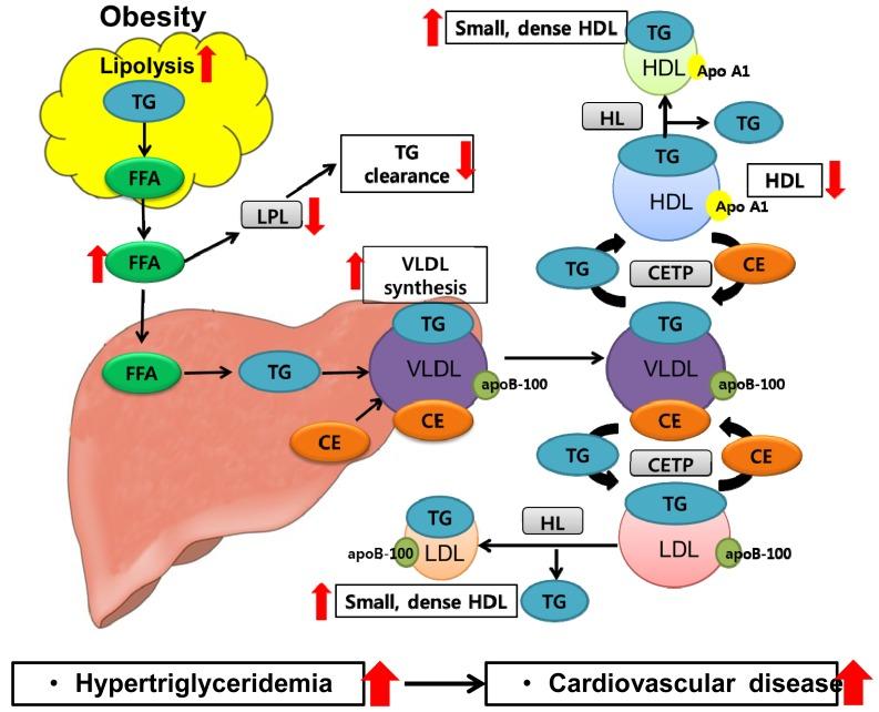 https://cdn.ncbi.nlm.nih.gov/pmc/blobs/390f/4013623/cf56ebe02653/ijms-15-06184f4.jpg