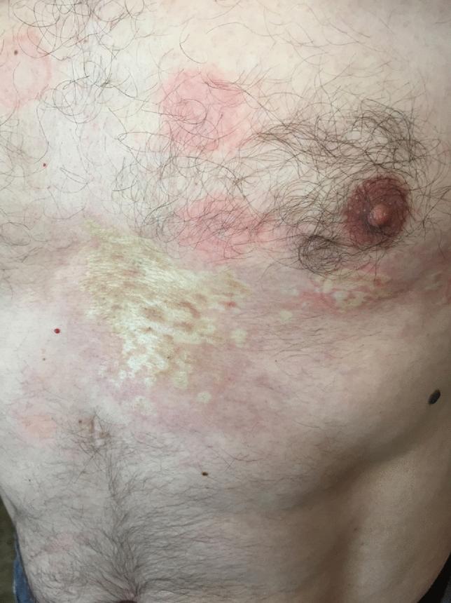 https://cdn.ncbi.nlm.nih.gov/pmc/blobs/3910/11424747/0313193f5fe8/296_2024_5580_Fig1_HTML.jpg