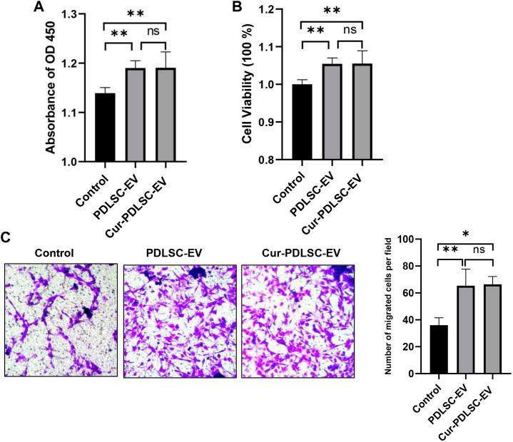 https://cdn.ncbi.nlm.nih.gov/pmc/blobs/3911/10568008/e1b5ccddb954/fcell-11-1225449-g002.jpg