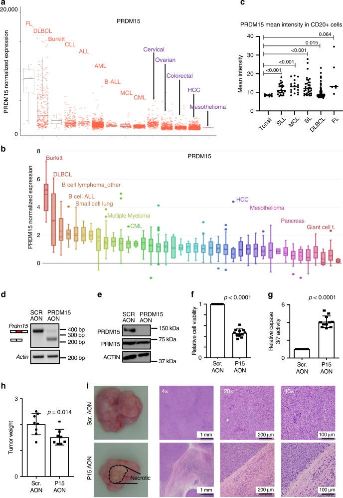 https://cdn.ncbi.nlm.nih.gov/pmc/blobs/3911/7360777/1155c1d60db2/41467_2020_17064_Fig1_HTML.jpg