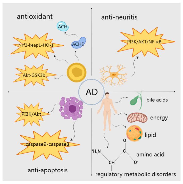 https://cdn.ncbi.nlm.nih.gov/pmc/blobs/3912/11357166/65532fd8bcf3/molecules-29-03905-g005.jpg