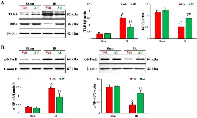 https://cdn.ncbi.nlm.nih.gov/pmc/blobs/3913/10970631/324b7e53410b/ijms-25-03461-g004.jpg