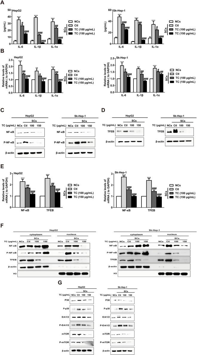 https://cdn.ncbi.nlm.nih.gov/pmc/blobs/3913/11447279/85e7ef7eaffe/fphar-15-1422363-g005.jpg