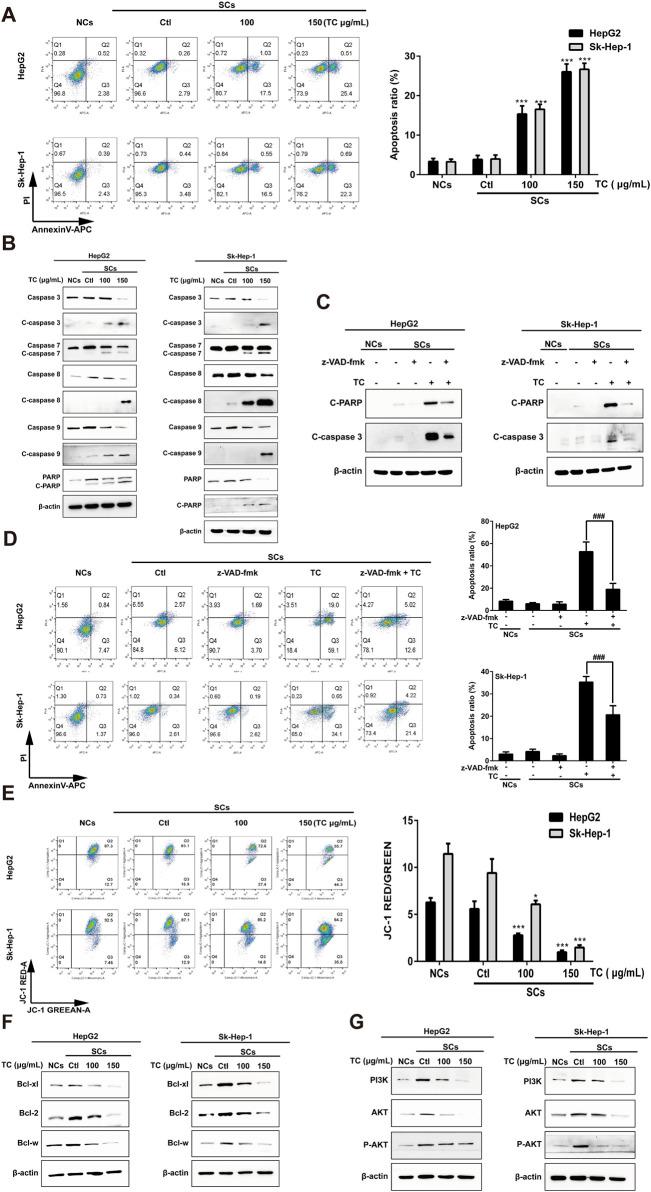 https://cdn.ncbi.nlm.nih.gov/pmc/blobs/3913/11447279/f6a9e6182e78/fphar-15-1422363-g003.jpg