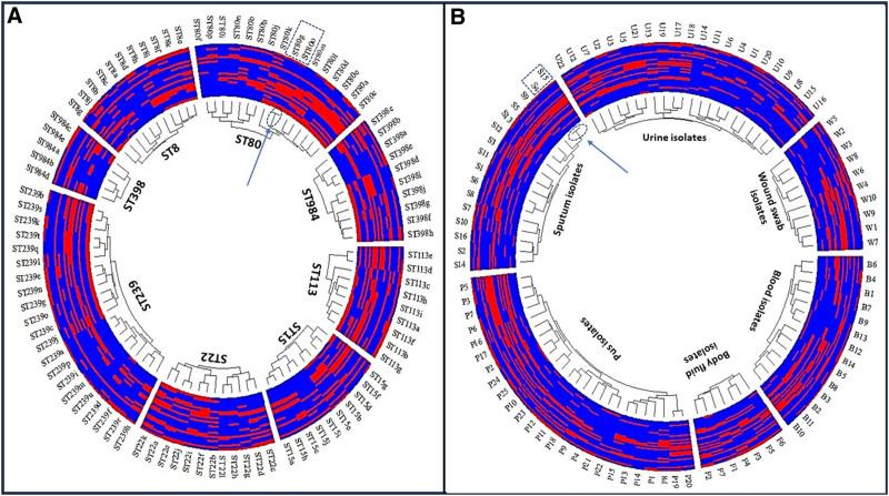 https://cdn.ncbi.nlm.nih.gov/pmc/blobs/3913/12282711/94b96b353888/medi-104-e43346-g003.jpg