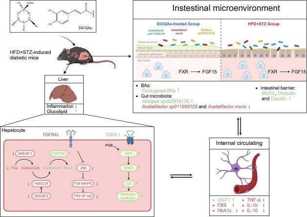 https://cdn.ncbi.nlm.nih.gov/pmc/blobs/3914/12147647/6eb725e1fc2a/ga1.jpg