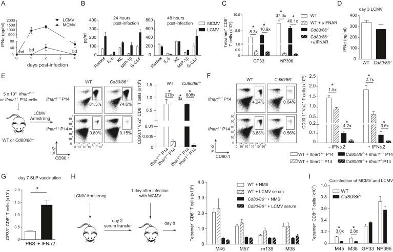 https://cdn.ncbi.nlm.nih.gov/pmc/blobs/3914/4558566/34280e940056/elife07486f005.jpg