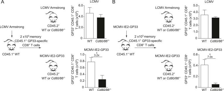 https://cdn.ncbi.nlm.nih.gov/pmc/blobs/3914/4558566/4ab1dab3a633/elife07486f004.jpg