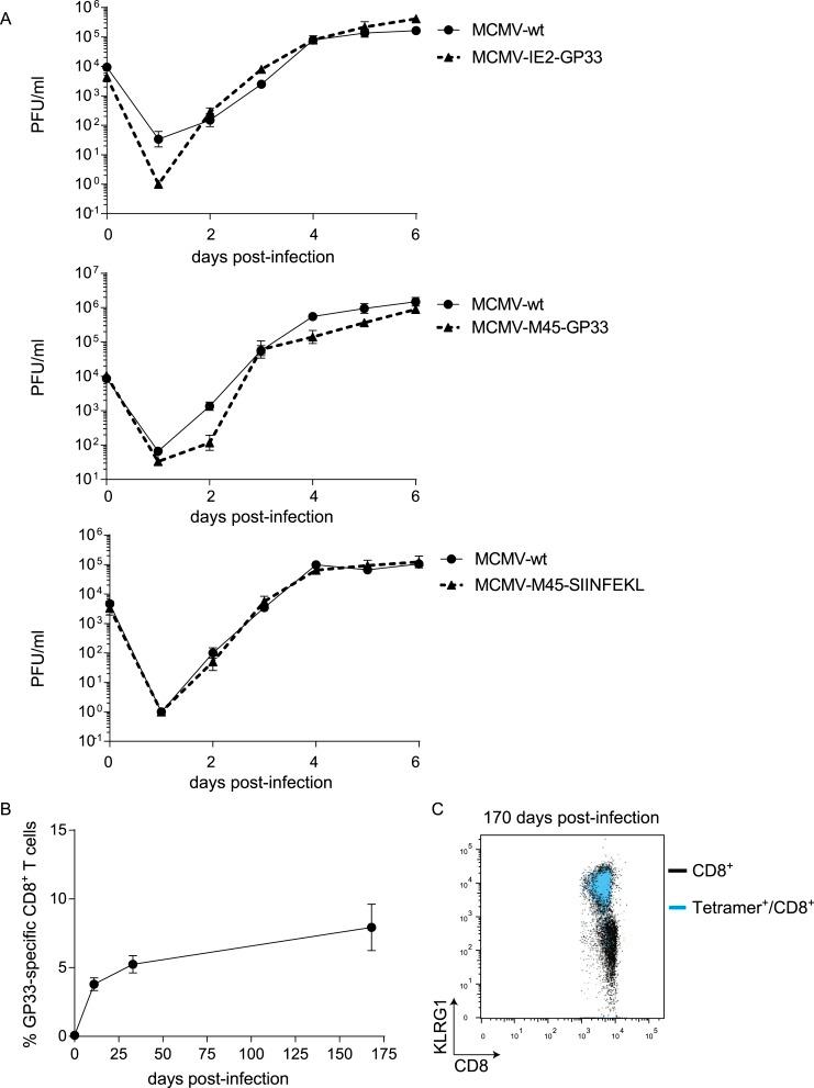 https://cdn.ncbi.nlm.nih.gov/pmc/blobs/3914/4558566/927e5b6846dd/elife07486fs002.jpg