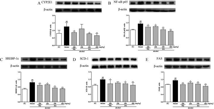 https://cdn.ncbi.nlm.nih.gov/pmc/blobs/3916/9082196/3ac2e8666b52/c8ra02422g-f9.jpg