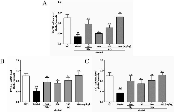 https://cdn.ncbi.nlm.nih.gov/pmc/blobs/3916/9082196/7c71dcc6c3ff/c8ra02422g-f6.jpg