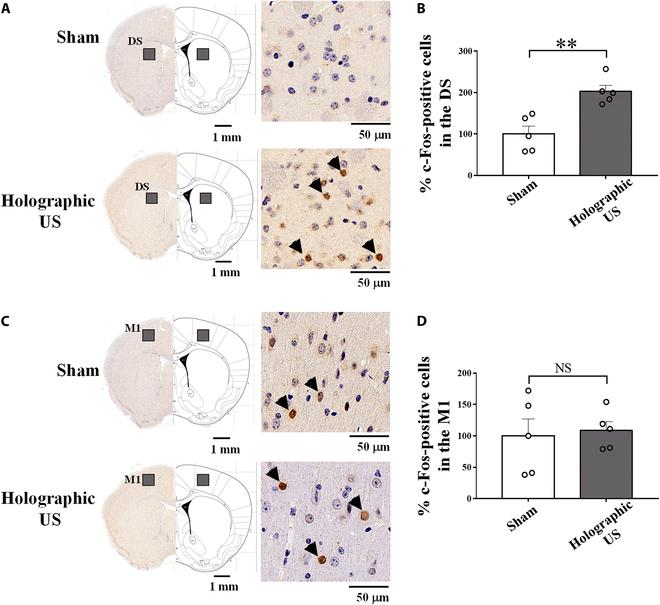 https://cdn.ncbi.nlm.nih.gov/pmc/blobs/3917/11538569/768ab1269706/research.0516.fig.003.jpg