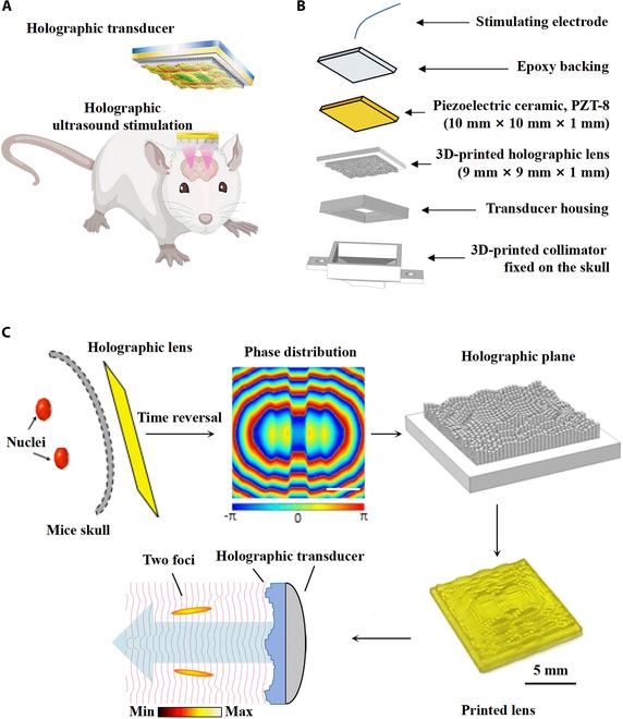 https://cdn.ncbi.nlm.nih.gov/pmc/blobs/3917/11538569/d89b0231f65c/research.0516.fig.001.jpg