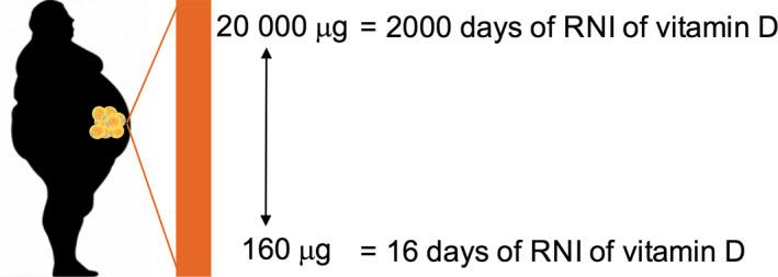 https://cdn.ncbi.nlm.nih.gov/pmc/blobs/3918/8609434/02653467726e/NBU-44-25-g002.jpg