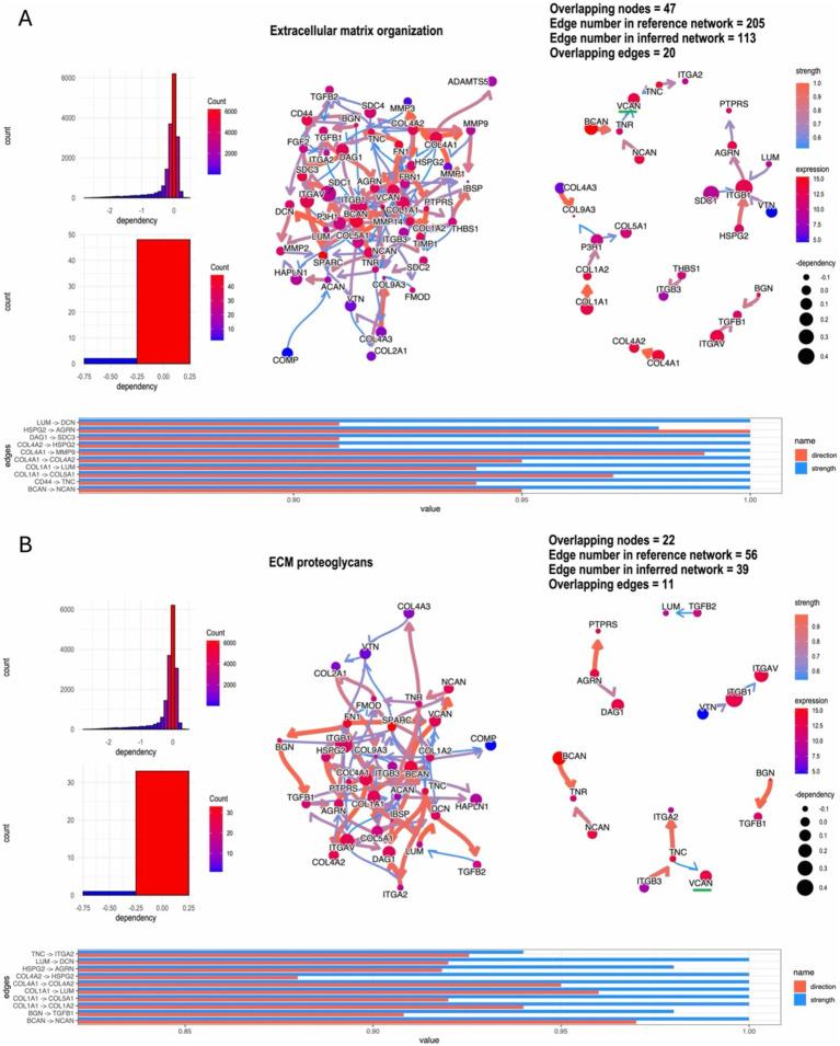 https://cdn.ncbi.nlm.nih.gov/pmc/blobs/3919/11565936/2857beb8fdaa/fnins-18-1501906-g005.jpg