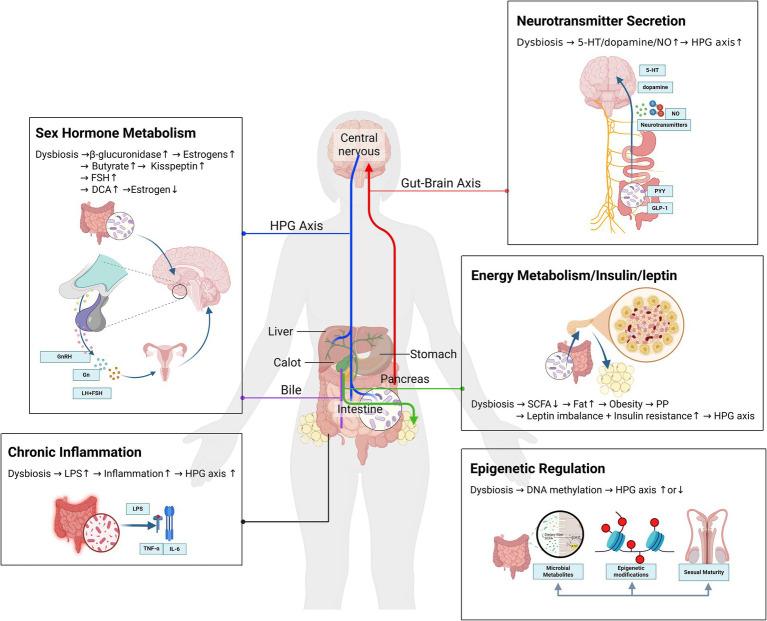 https://cdn.ncbi.nlm.nih.gov/pmc/blobs/3919/12061974/c8669d5717c3/fnut-12-1596654-g001.jpg