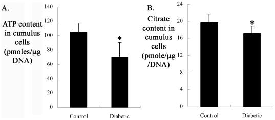 https://cdn.ncbi.nlm.nih.gov/pmc/blobs/3919/3011018/c79b2fcdc2c7/pone.0015901.g005.jpg