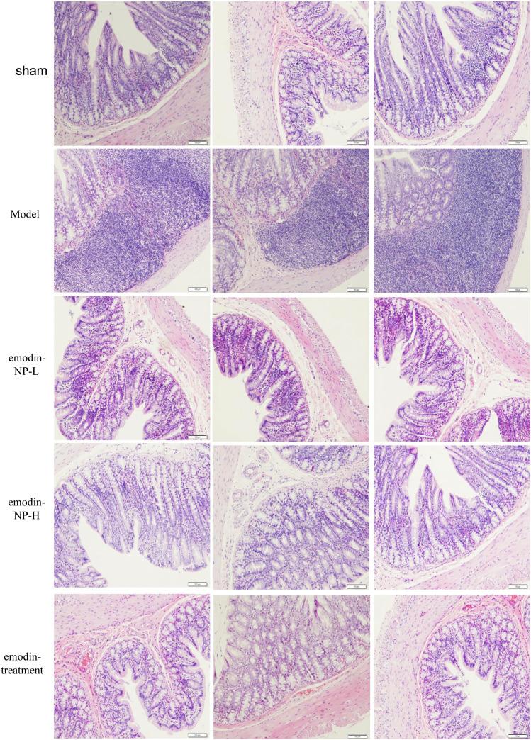 https://cdn.ncbi.nlm.nih.gov/pmc/blobs/3919/7858270/1f0e053bd7ab/fphar-11-606227-g005.jpg