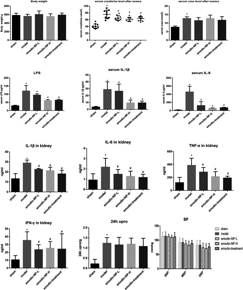 https://cdn.ncbi.nlm.nih.gov/pmc/blobs/3919/7858270/6f19f7874e7e/fphar-11-606227-g002.jpg