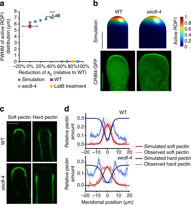 https://cdn.ncbi.nlm.nih.gov/pmc/blobs/391a/5698331/3dbce9e105d0/41467_2017_1452_Fig2_HTML.jpg
