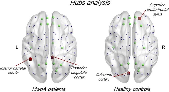 https://cdn.ncbi.nlm.nih.gov/pmc/blobs/391b/8400754/980040833ab6/10194_2021_1315_Fig5_HTML.jpg