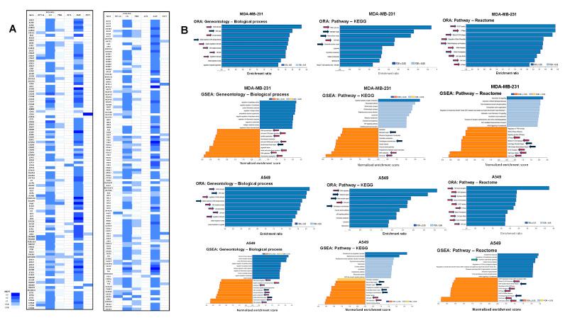 https://cdn.ncbi.nlm.nih.gov/pmc/blobs/391c/10669862/03b70e02d138/cancers-15-05318-g003.jpg