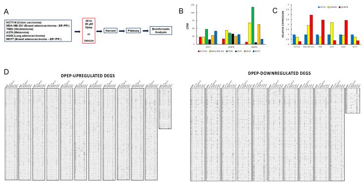 https://cdn.ncbi.nlm.nih.gov/pmc/blobs/391c/10669862/0c3c7b889ddd/cancers-15-05318-g001.jpg