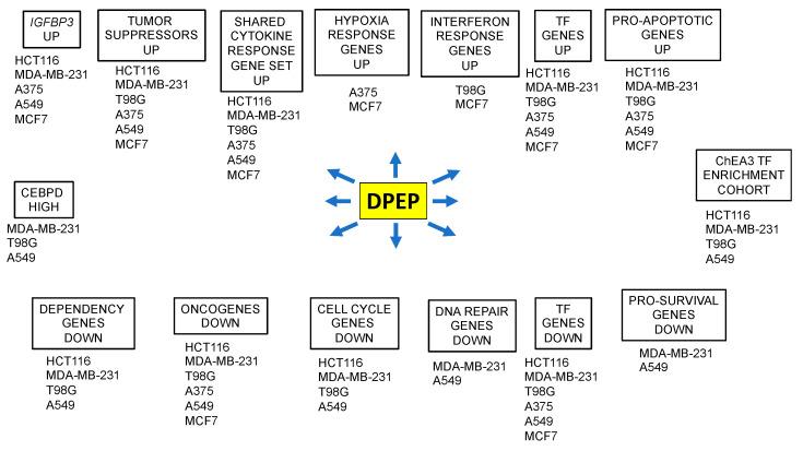 https://cdn.ncbi.nlm.nih.gov/pmc/blobs/391c/10669862/a0927a105c8a/cancers-15-05318-g007.jpg