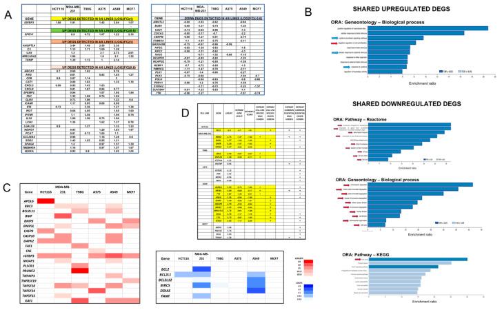 https://cdn.ncbi.nlm.nih.gov/pmc/blobs/391c/10669862/f672e1d46844/cancers-15-05318-g002.jpg