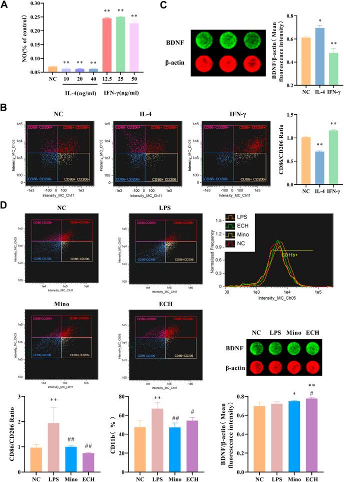 https://cdn.ncbi.nlm.nih.gov/pmc/blobs/391c/9846169/0bceda39c9e9/fphar-13-993483-g012.jpg