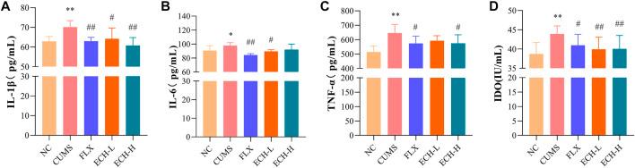 https://cdn.ncbi.nlm.nih.gov/pmc/blobs/391c/9846169/18aa1de088dd/fphar-13-993483-g005.jpg
