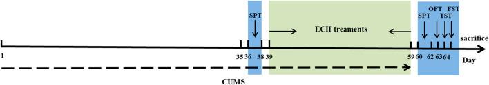 https://cdn.ncbi.nlm.nih.gov/pmc/blobs/391c/9846169/5b0addd90385/fphar-13-993483-g014.jpg