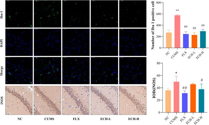 https://cdn.ncbi.nlm.nih.gov/pmc/blobs/391c/9846169/67df8afdf4ef/fphar-13-993483-g006.jpg