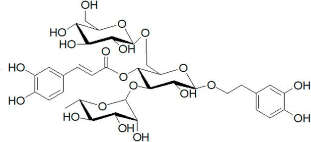https://cdn.ncbi.nlm.nih.gov/pmc/blobs/391c/9846169/b9e707a8cd7c/fphar-13-993483-g013.jpg