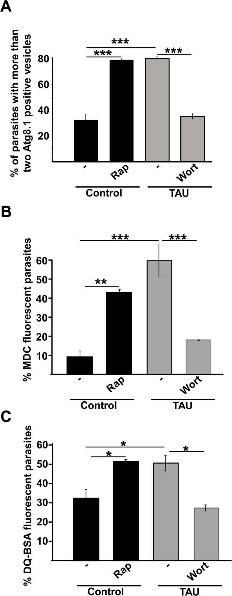 https://cdn.ncbi.nlm.nih.gov/pmc/blobs/391e/5683653/1f267a050b44/pntd.0006049.g003.jpg