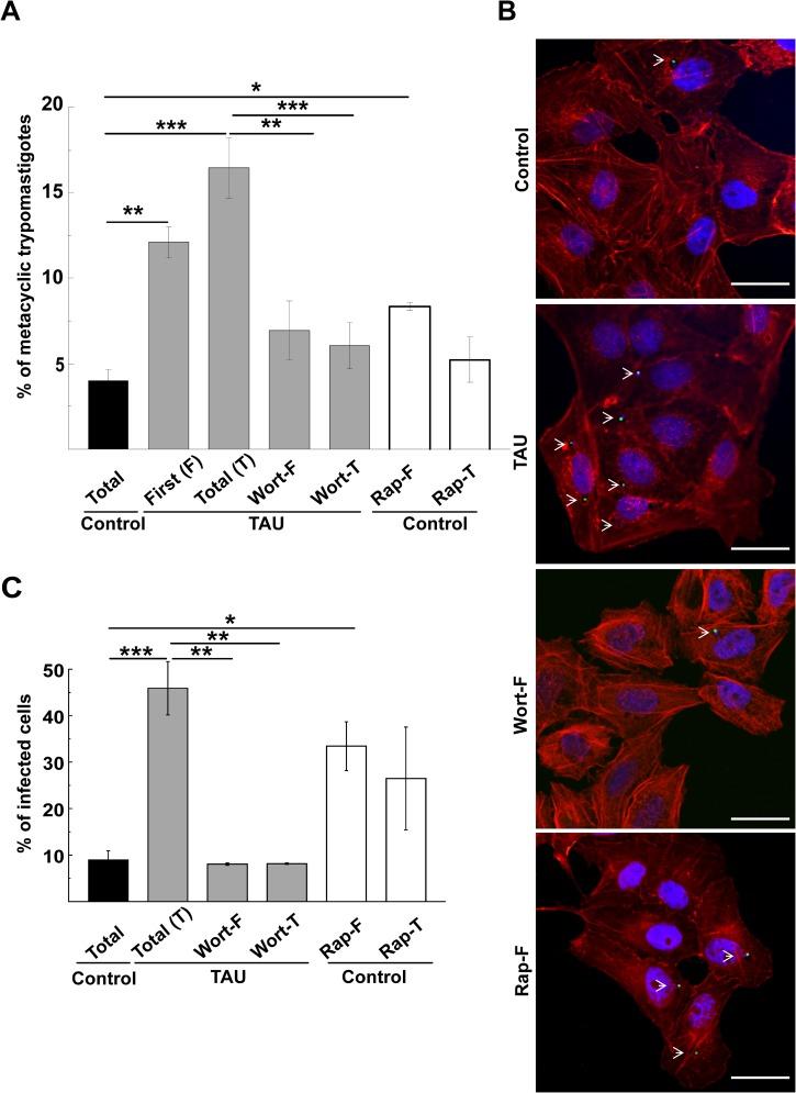 https://cdn.ncbi.nlm.nih.gov/pmc/blobs/391e/5683653/c12353d7ed96/pntd.0006049.g006.jpg