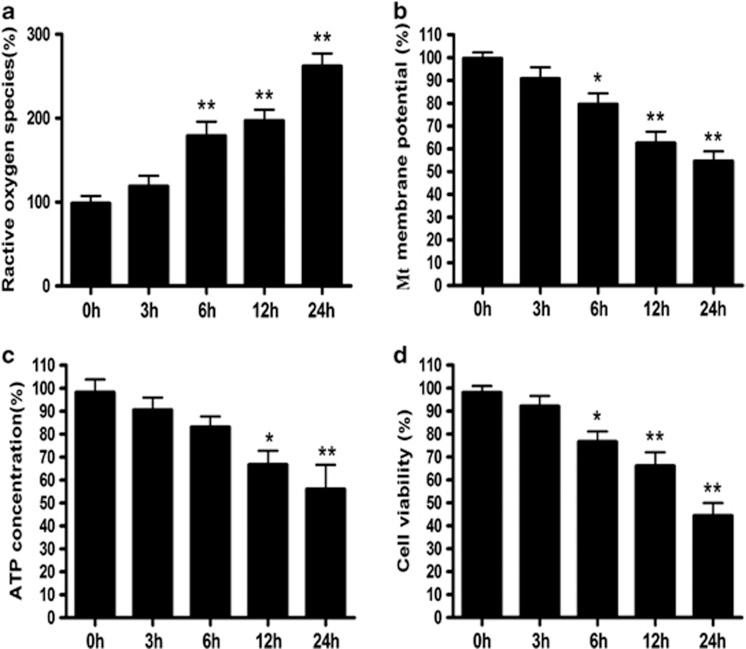 https://cdn.ncbi.nlm.nih.gov/pmc/blobs/3922/3615741/a2673a2dc36a/cddis20137f2.jpg