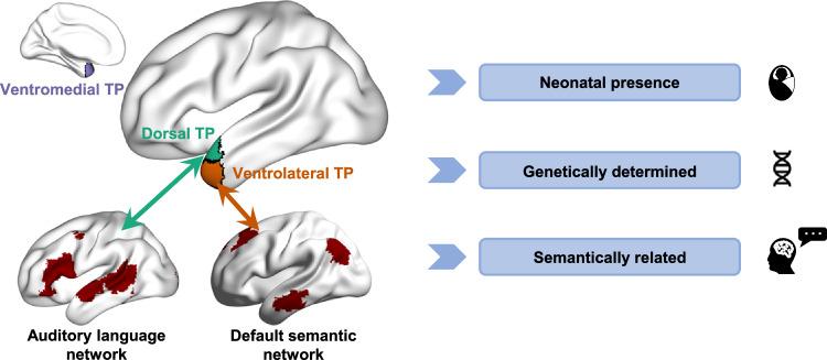 https://cdn.ncbi.nlm.nih.gov/pmc/blobs/3924/12019161/2ff45049e146/41467_2025_58896_Fig6_HTML.jpg