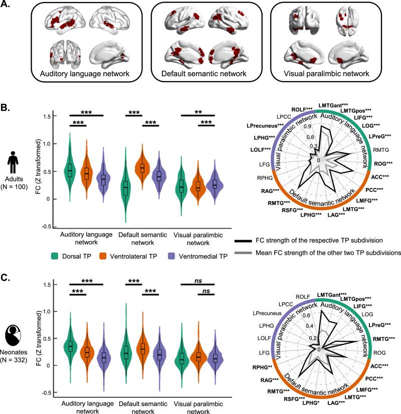 https://cdn.ncbi.nlm.nih.gov/pmc/blobs/3924/12019161/a5d25cd6464c/41467_2025_58896_Fig3_HTML.jpg