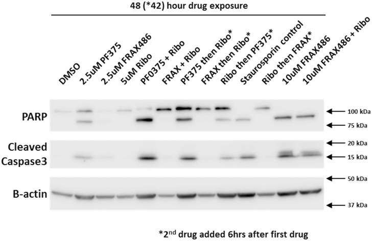https://cdn.ncbi.nlm.nih.gov/pmc/blobs/3926/8211232/4ddc88b911d7/pone.0252927.g003.jpg