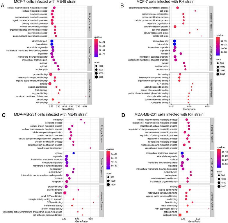 https://cdn.ncbi.nlm.nih.gov/pmc/blobs/3927/11040860/3f82529a434a/12935_2024_3333_Fig6_HTML.jpg